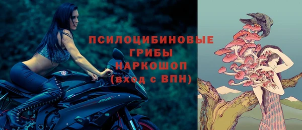 jwh Осинники